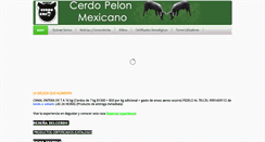 Desktop Screenshot of cerdopelonmexicano.com
