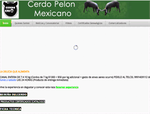 Tablet Screenshot of cerdopelonmexicano.com
